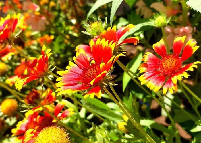 Blue Marine - Menada * 阳光海滩